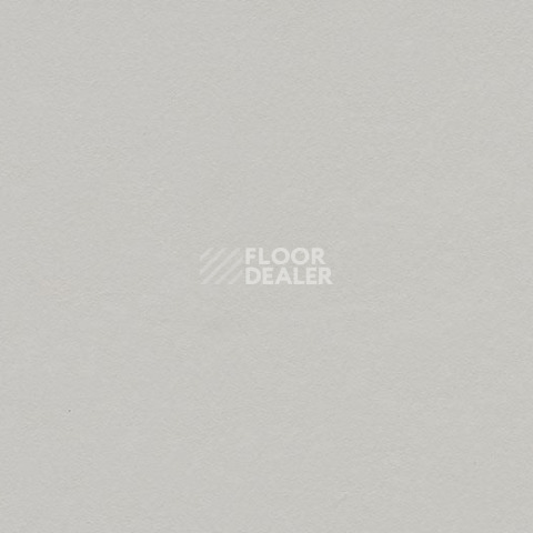 Линолеум Forbo Marmoleum Decibel on Order 336935 titanium фото 1 | FLOORDEALER